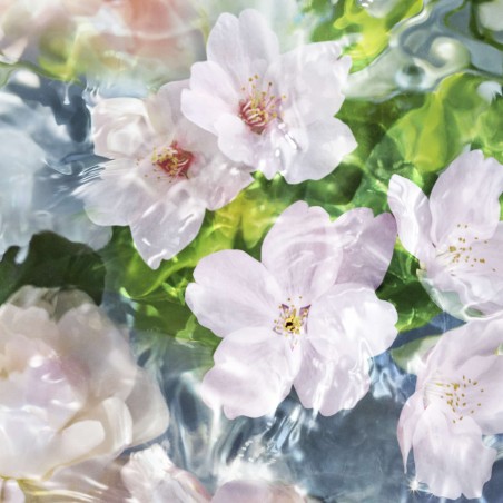 AQUA ALLEGORIA FLORA CHERRYSIA EAU DE TOILETTE 125ml