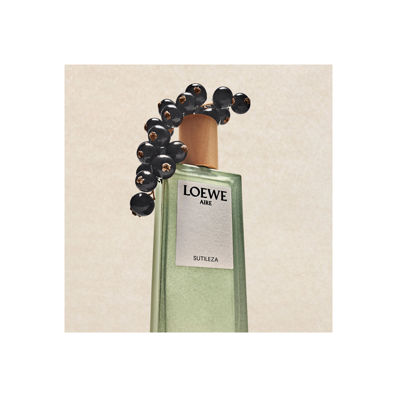 [公式から購入] LOEWE AIRE SUTILIZA 100ml Aire Sutileza Eau de Toilette | Neiman Marcus