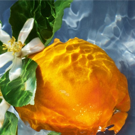 AQUA ALLEGORIA Orange Soleia EAU DE TOILETTE 125ml