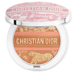 Dior Forever Nude Bronze Limited Edition
