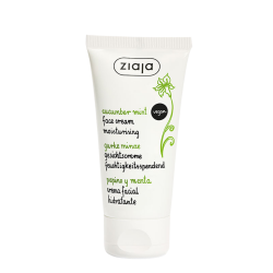 Concombre et Menthe Crème Hydratante pour Peaux Mixtes ou Grasses