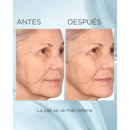 Hyaluronic Acid + Peptides Ceramide Hydra-Plumping Water Cream