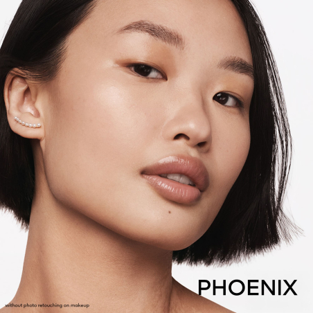 Météorites Phoenix Édition Limitée