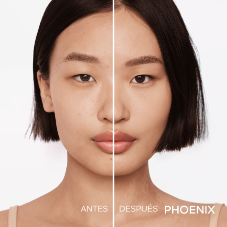 Météorites Phoenix Édition Limitée