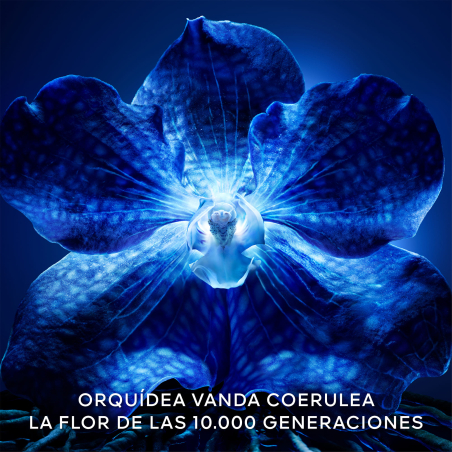 Orchidée Impériale La Crème Riche Longévité