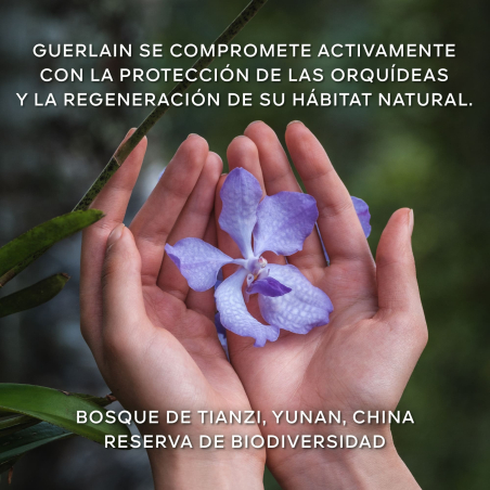 Orchidée Impériale La Crème Riche Longévité