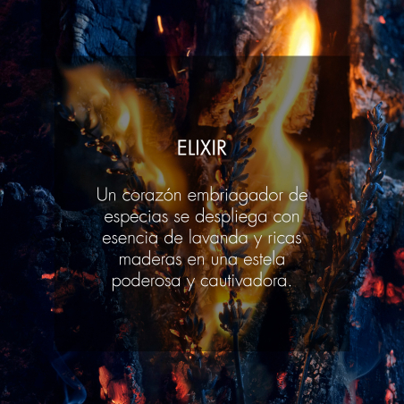 SAUVAGE ELIXIR PARFUM VAPORIZATEUR