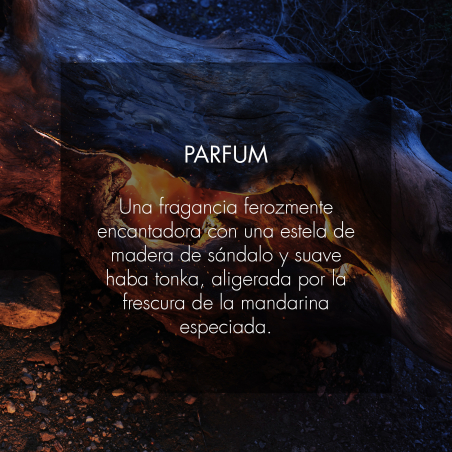 SAUVAGE PARFUM