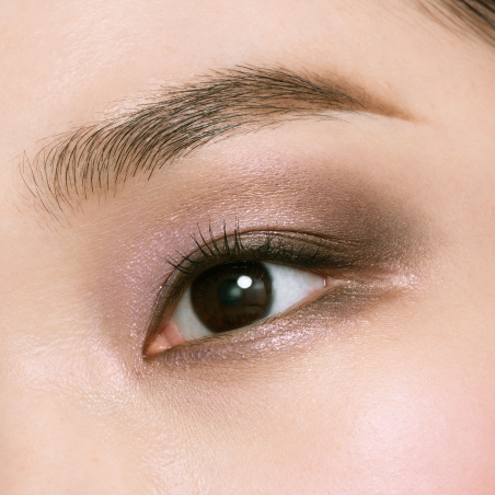 Eye Color Quad 504 Édition Limitée