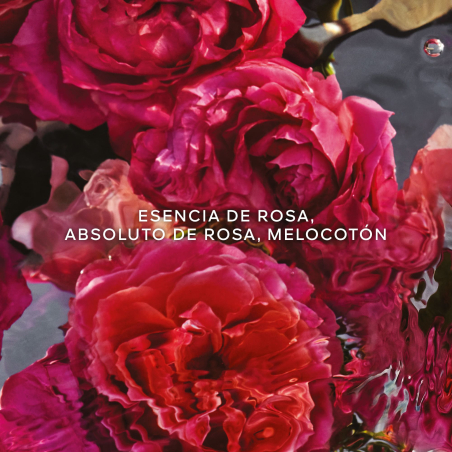 Coffret Aqua Allegoria Forte Rosa Rossa Eau de Parfum
