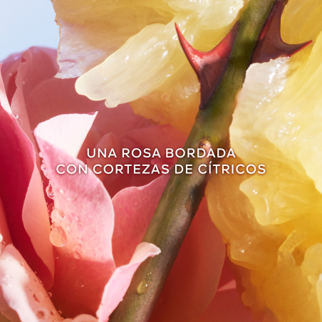 Coffret La Petite Robe Noire Eau de Toilette & Body Lotion