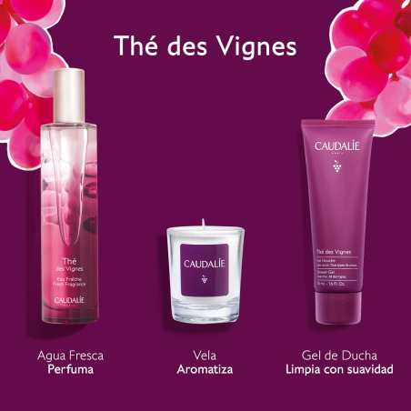 Coffret Thé des Vignes Eau Douce + Cadeaux