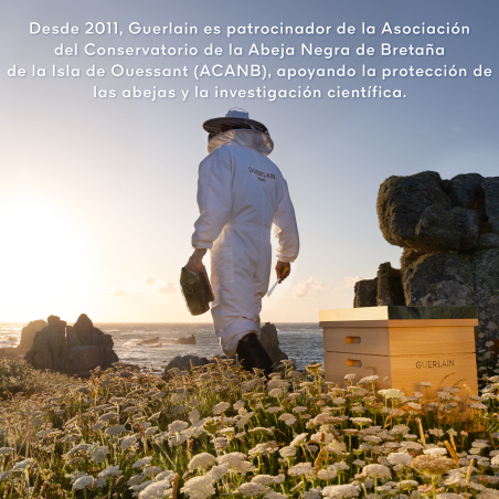 Abeille Royale Traitement Honey Bond sans Rinçage