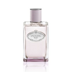 Infusion d'Oeillet Eau de Parfum 100ml