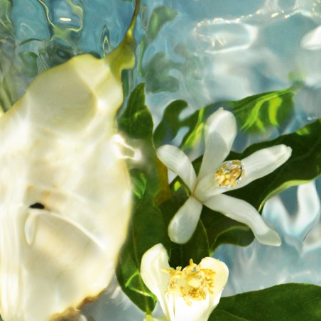 AQUA ALLEGORIA PERA GRANITA EAU DE TOILETTE 125ml