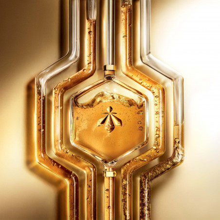ABEILLE ROYALE Cofre huile 50ml