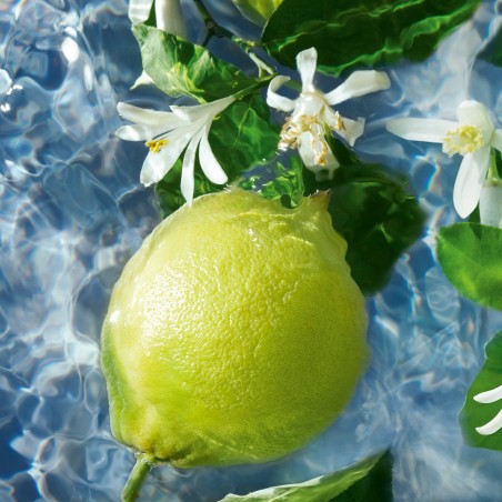 AQUA ALLEGORIA BERGAMOTA CALABRIA EAU DE TOILETTE 125ml
