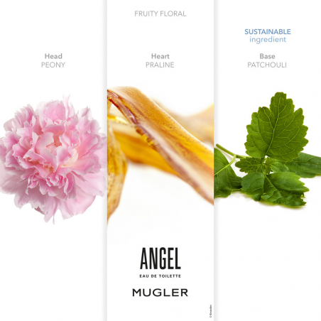 Angel Crème Mains