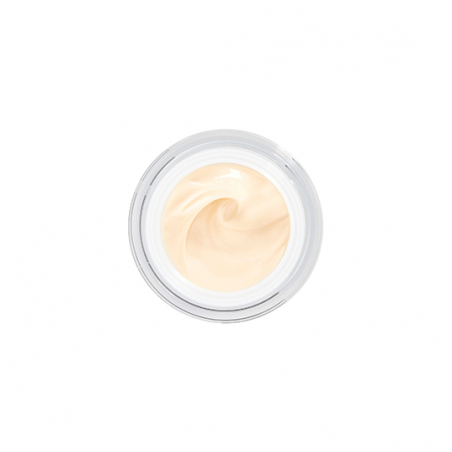 SISLEYA L'INTEGRAL ANTI-ÂGE CREME CONTOUR DES YEUX ET LEVRÈS 15ML