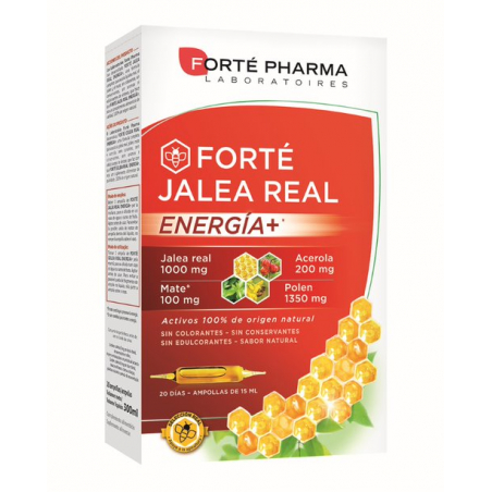 FORTÉ JALEA REAL ENERGÍA+