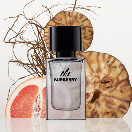 MR BURBERRY EDT V