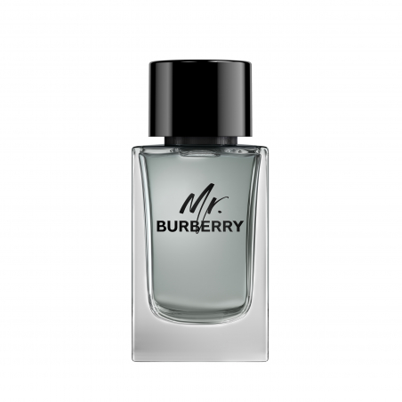 MR BURBERRY EDT V