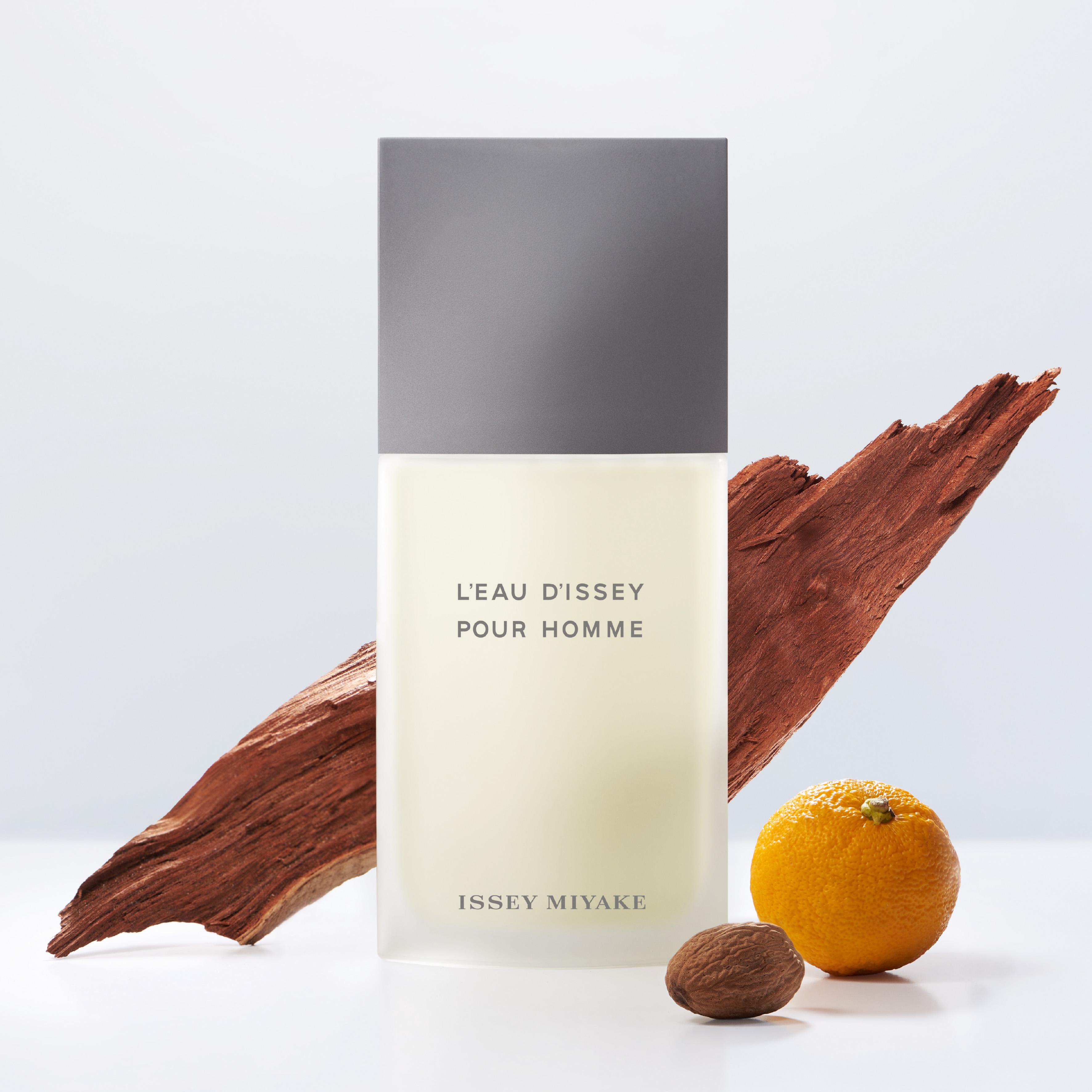 L'eay D'issey pour homme Issey Miyake