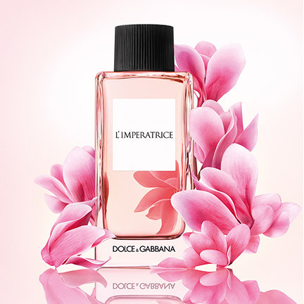 fragranze iconiche Classics Dolce & Gabbana
