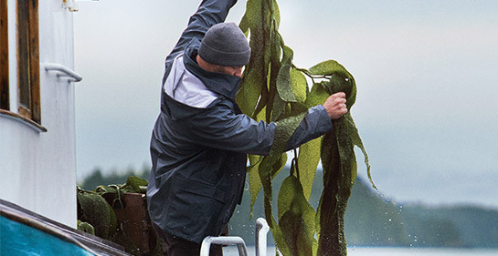 acheter des produits la mer acheter des produits la mer