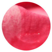 perfumes com acordes de rosas Montale