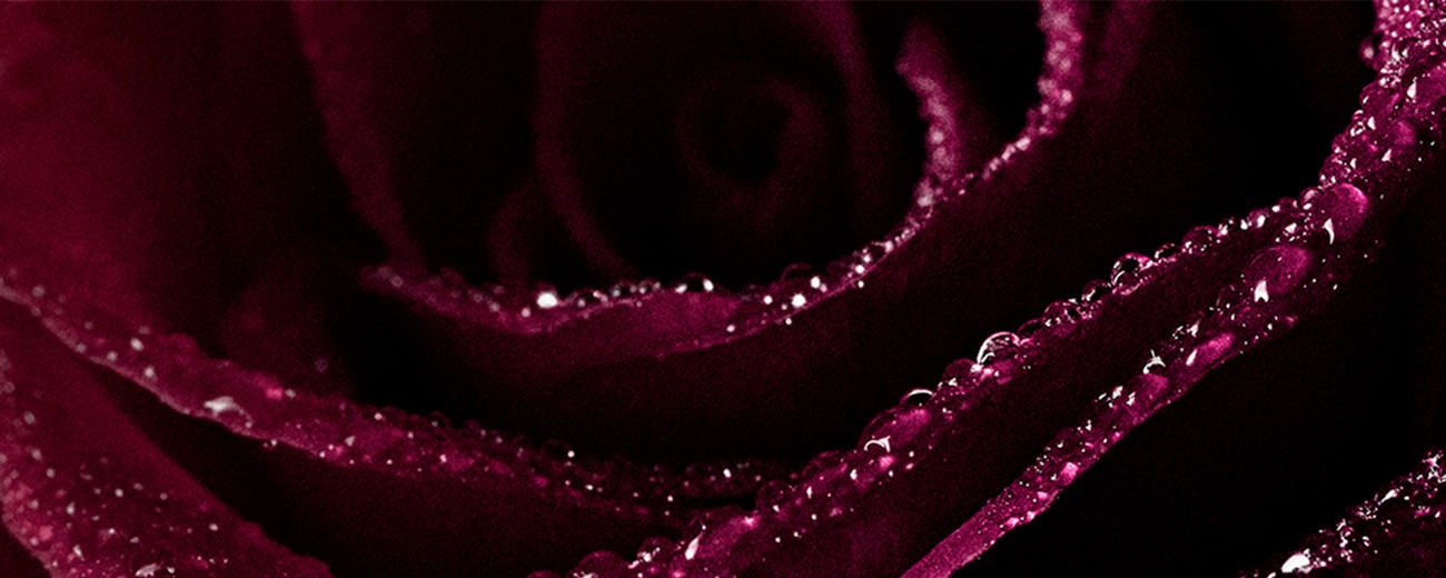 Baume en Eau a la rose Noire Sisley