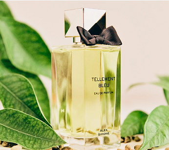 Perfumes para o Dia do Pai com notas aromaticas