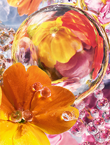 Guerlain Aqua Allegoria perle florabloom eau de parfum Édition Limitée