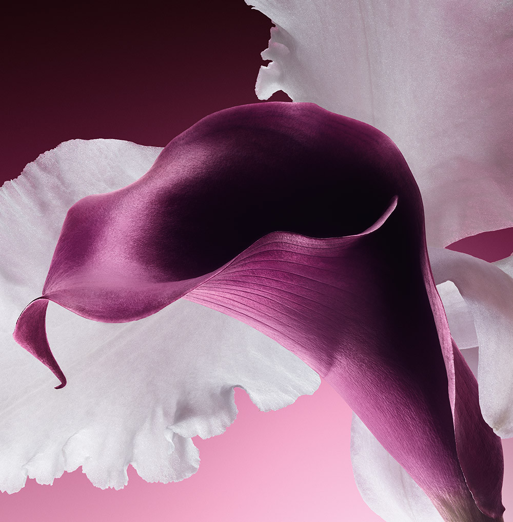 dior capture total floral dior capture total floral