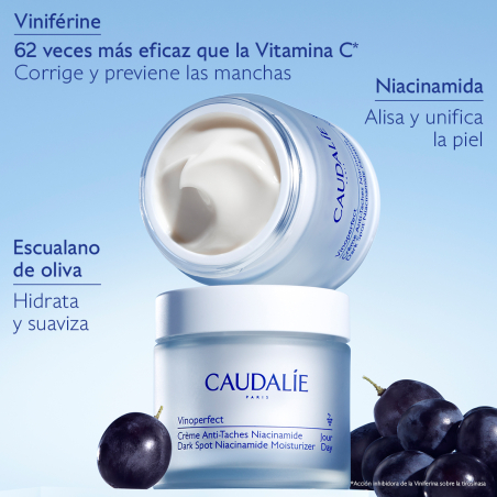 Vinoperfect Crème Eclat Anti-Taches 50 ml