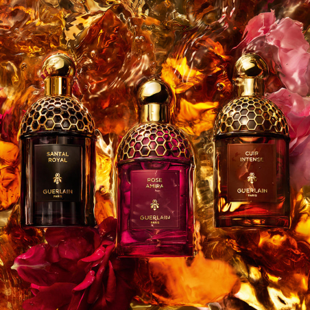 Absolus Allegoria Santal Royal Eau de Parfum