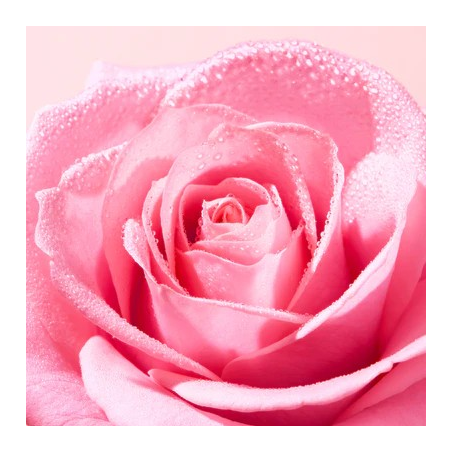 Very Rose Exfoliante facial luminosidad