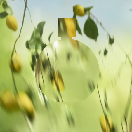 Chance Eau Fraîche Eau de Parfum