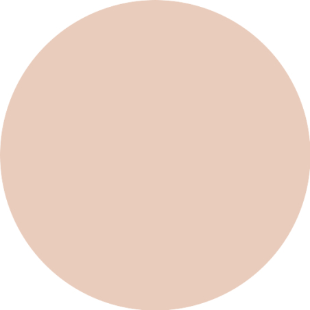 Fondotinta in Stick Foundation Stick