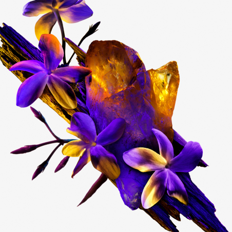 Alien Body Lotion 200 ml