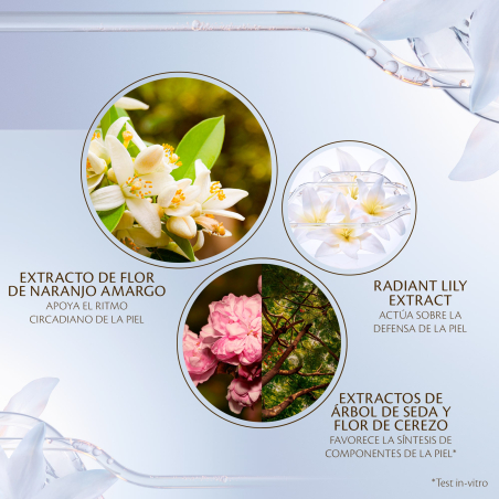 Advanced Intensive Night Cream