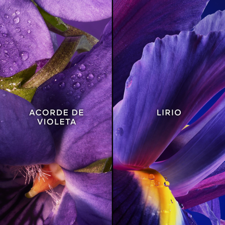 Set Les Légendaires Insolence Eau de Parfum