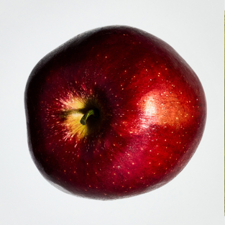 Set Loewe Solo Ella Eau de Parfum 100 ml