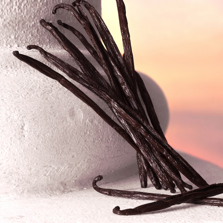 Set Devotion Eau de Parfum Intense