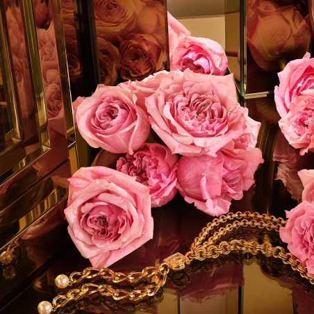 Set The One Gold Eau de Parfum Intense