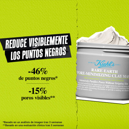 Rare Earth Pore-Minimizing Clay Mask