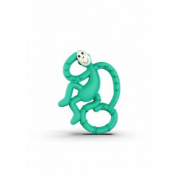 DENTITION MATCHSTICK MONKEY VERT