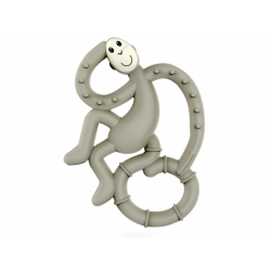 DENTITION  MATCHSTICK MONKEY GRIS