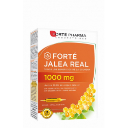 FORTÉ JALEA REAL 1000