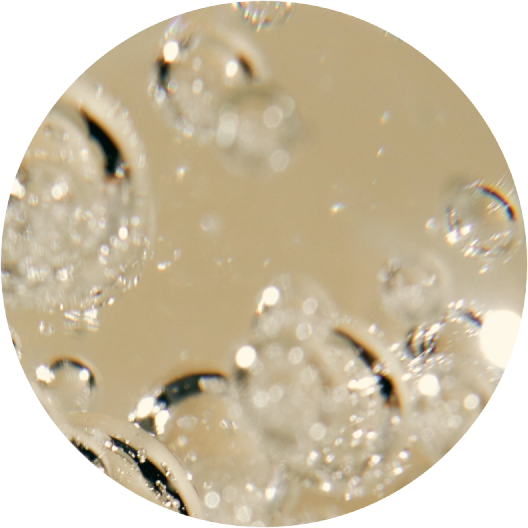 ingrediente Age Cell Complex Age Filler Júlia Bonet ingrediente Age Cell Complex Age Filler Júlia Bonet